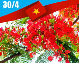 [Lễ 30/04] Từ Hải Phòng